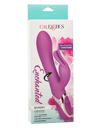 Calexotics-Enchanted Bunny-thm